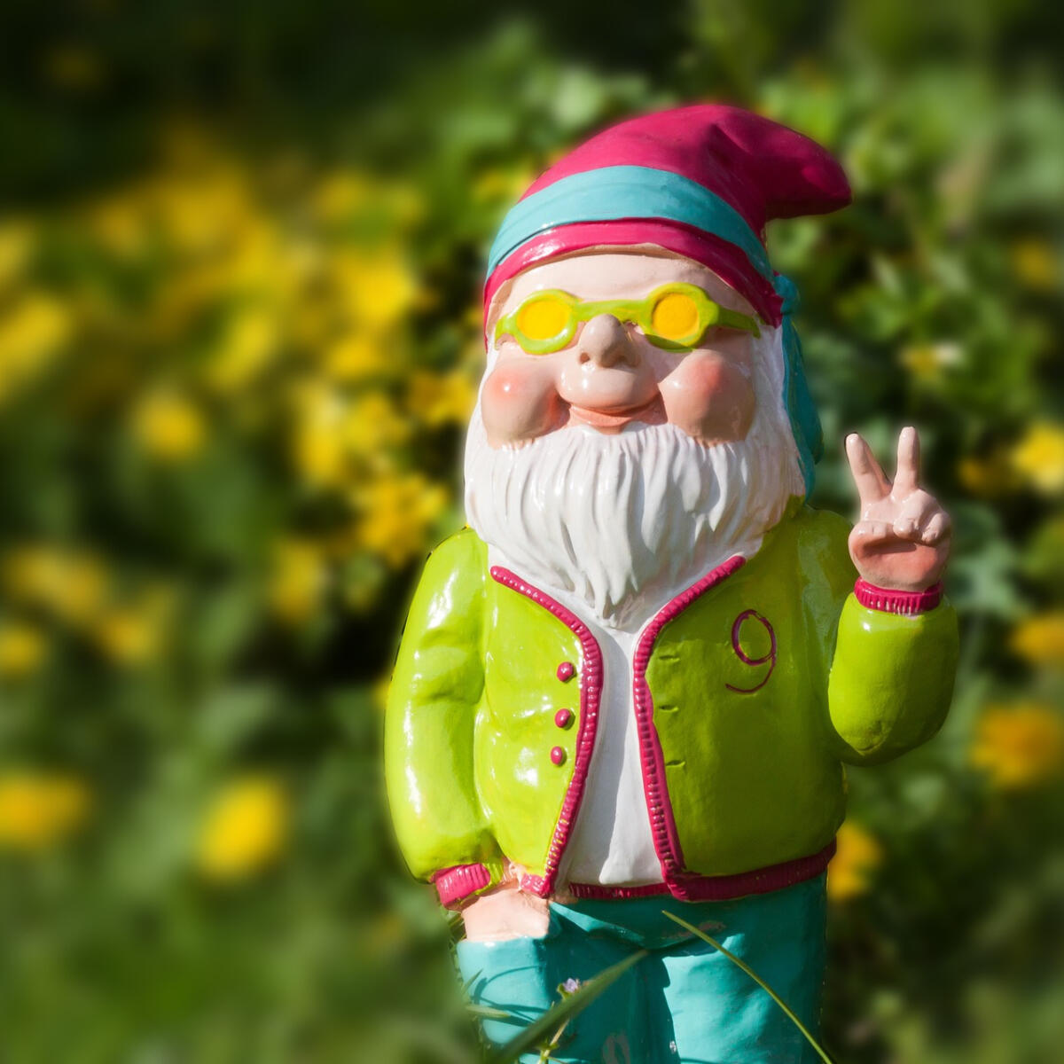 Gnomad Capital Gnomad Capital